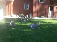 20131018_141830_resized.webp
