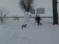 1214131535a.webp