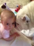 maddielibby.webp