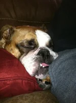 zoey4.webp