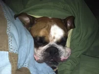 zoey5.webp