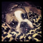 ZOEY6.webp
