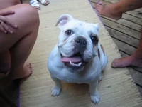 107_0773.webp