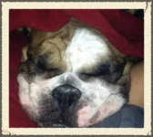 ZOEY7.webp