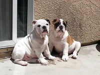 20130805_121343.webp