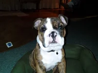 0309132103d.webp