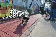 DSC_0026.webp