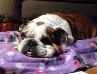 ladybelle4.webp