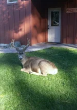 20131019_152433_resized.webp