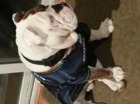 20131215_175342.webp