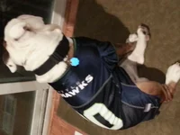 20131215_174122.webp