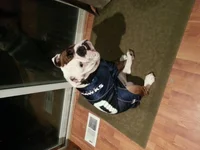 20131215_174108.webp