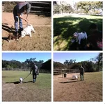 park.webp