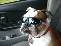 Georgia7.webp