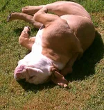 IMAG0718-1-1 (1).webp