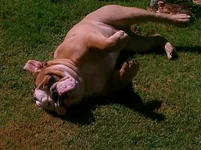 IMAG0716-1.webp