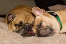 winnie&earl.webp winnie&earl.webp