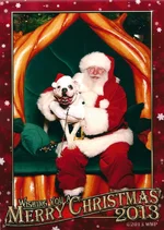 image.webp