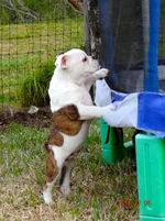 DSC00373.webp