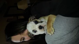 20130427_102206.webp