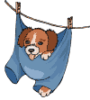 puppy-clothes-line.gif