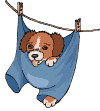 puppy-clothes-line.gif