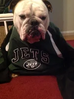 2013-10-20 16.37.24-2.webp
