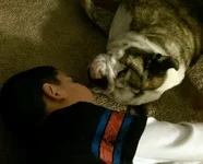 IMAG0059_1.webp