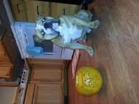20131021_224149.webp