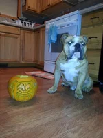 20131021_224149.webp
