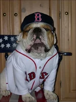 2013-10-22 20.32.12.webp