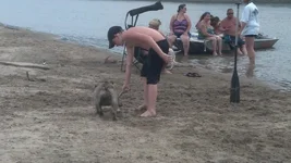 IMG_20130831_172855_627.webp