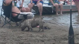 IMG_20130831_173100_704.webp IMG_20130831_173100_704.webp
