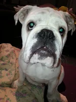 2013-11-02 15.53.49.webp