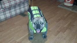 IMG_20130629_245306_695.webp