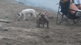 IMG_20130831_173117_036.webp