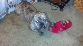 2012-10-14_23-04-28_896.webp