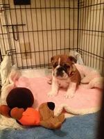 2012 Nov. 18 First day at home.webp 2012 Nov. 18 First day at home.webp