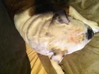 image.webp