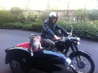 2013 March We love bikes.webp