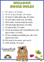 BulldogRules1.webp