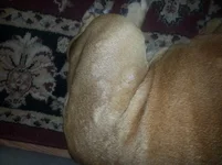 20130904_151407[1].webp