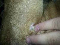 20130904_151414[1].webp
