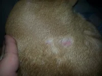 20130904_151456[1].webp