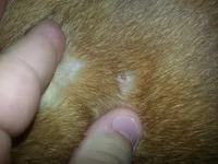 20130904_151516[1].webp
