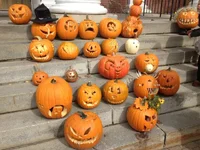292722_10151260286751979_717679835_n.webp