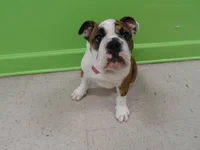 daisydaycare.webp