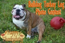 turkeyleg copy.webp