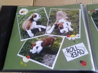 1026131303.webp