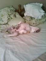 2011-07-22 08.20.13.webp